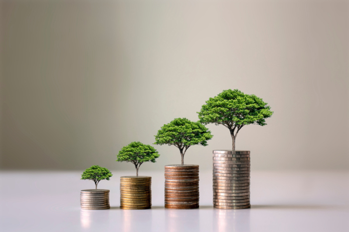 Stacked coins in piles from lowest to highest with trees on top