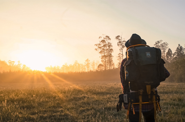 Backpacker walking through field with sun shining down and trees in the background