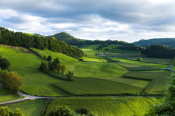 Green fields and rolling grass hills with mountains and trees in background