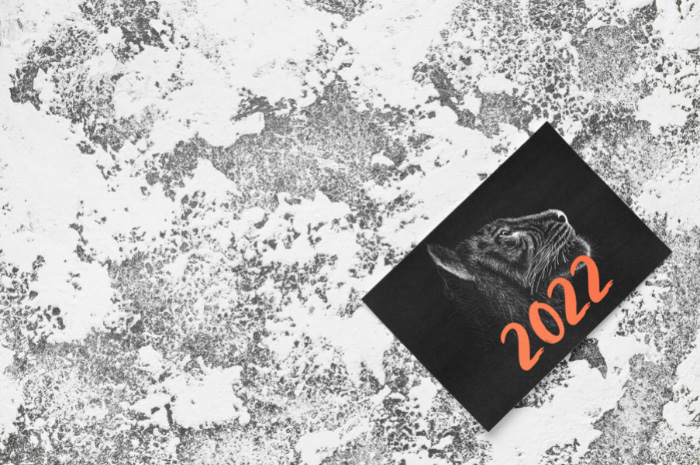Black card with tiger and numbers 2022 laying on concrete covered in snow