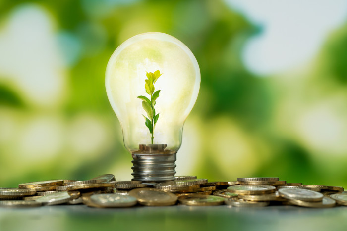 Close up photo of lightbulb with growing plant inside and coin stacks as a symbol of money saving. Concept of money, investment and startup business idea.